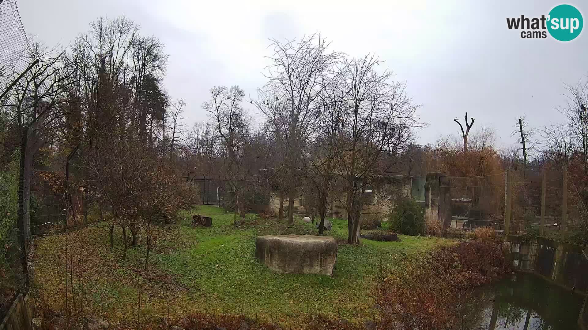 Zoo Zagreb – Löwen