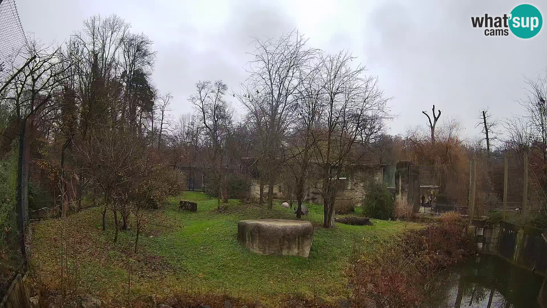 Zoo Zagreb – Löwen