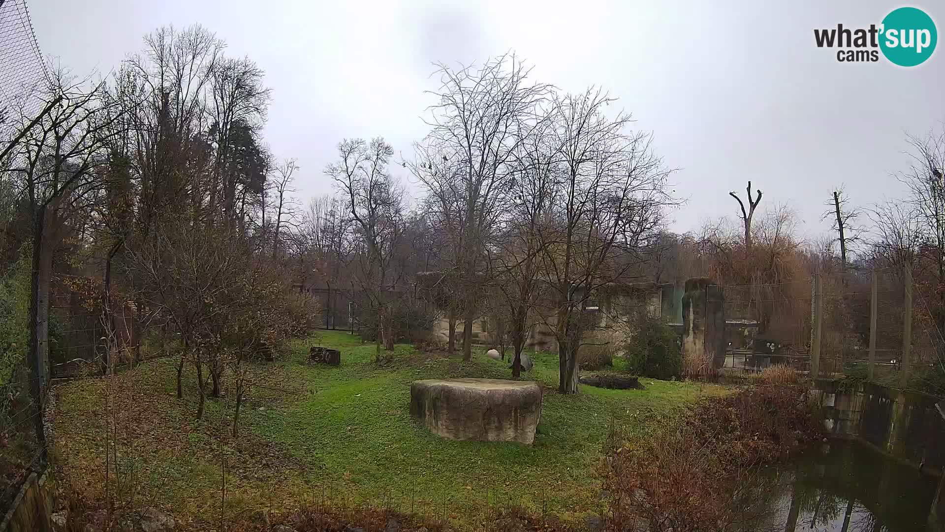 Zoo Zagreb – Löwen