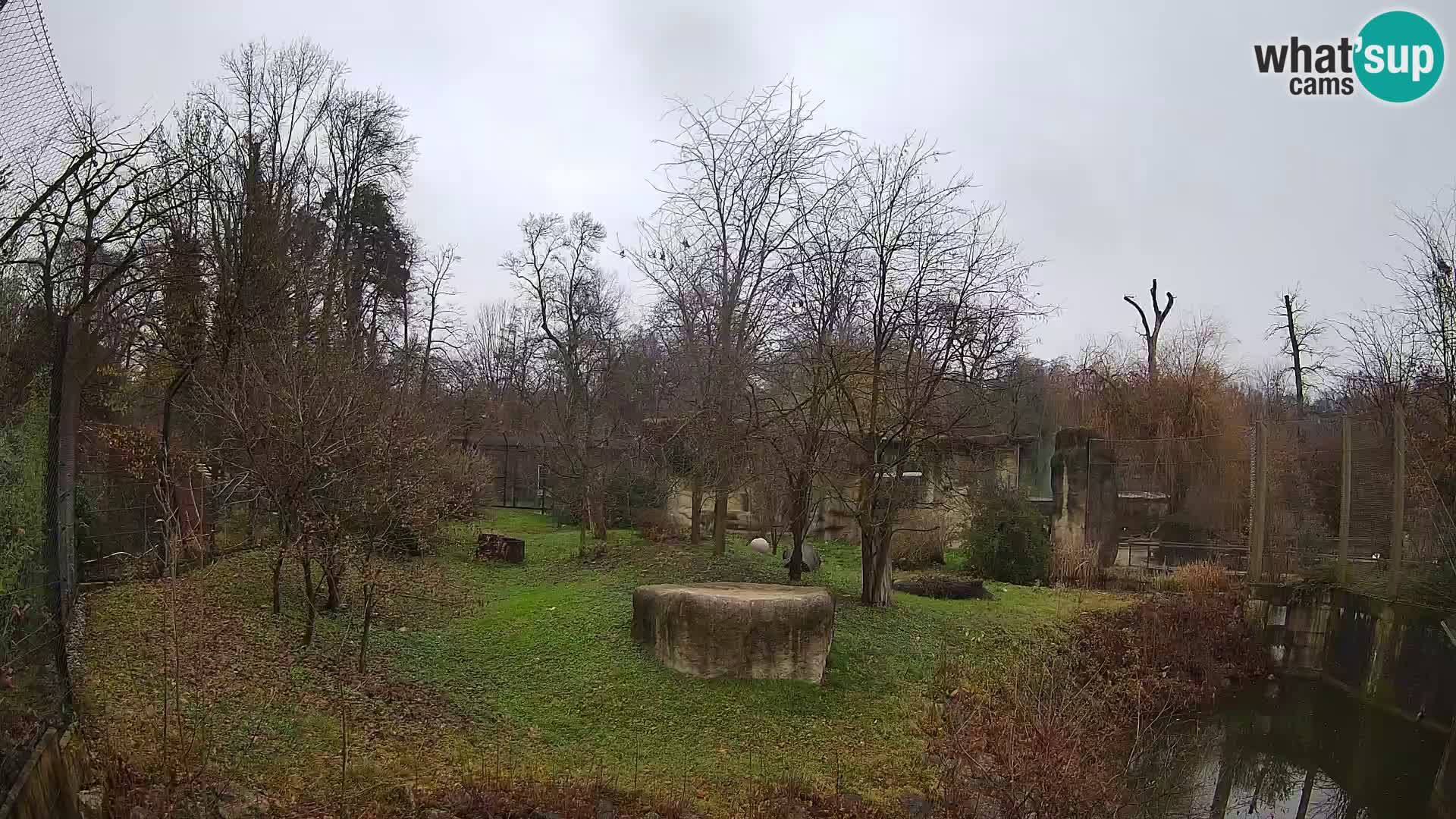 Zoo Zagreb – Leoni