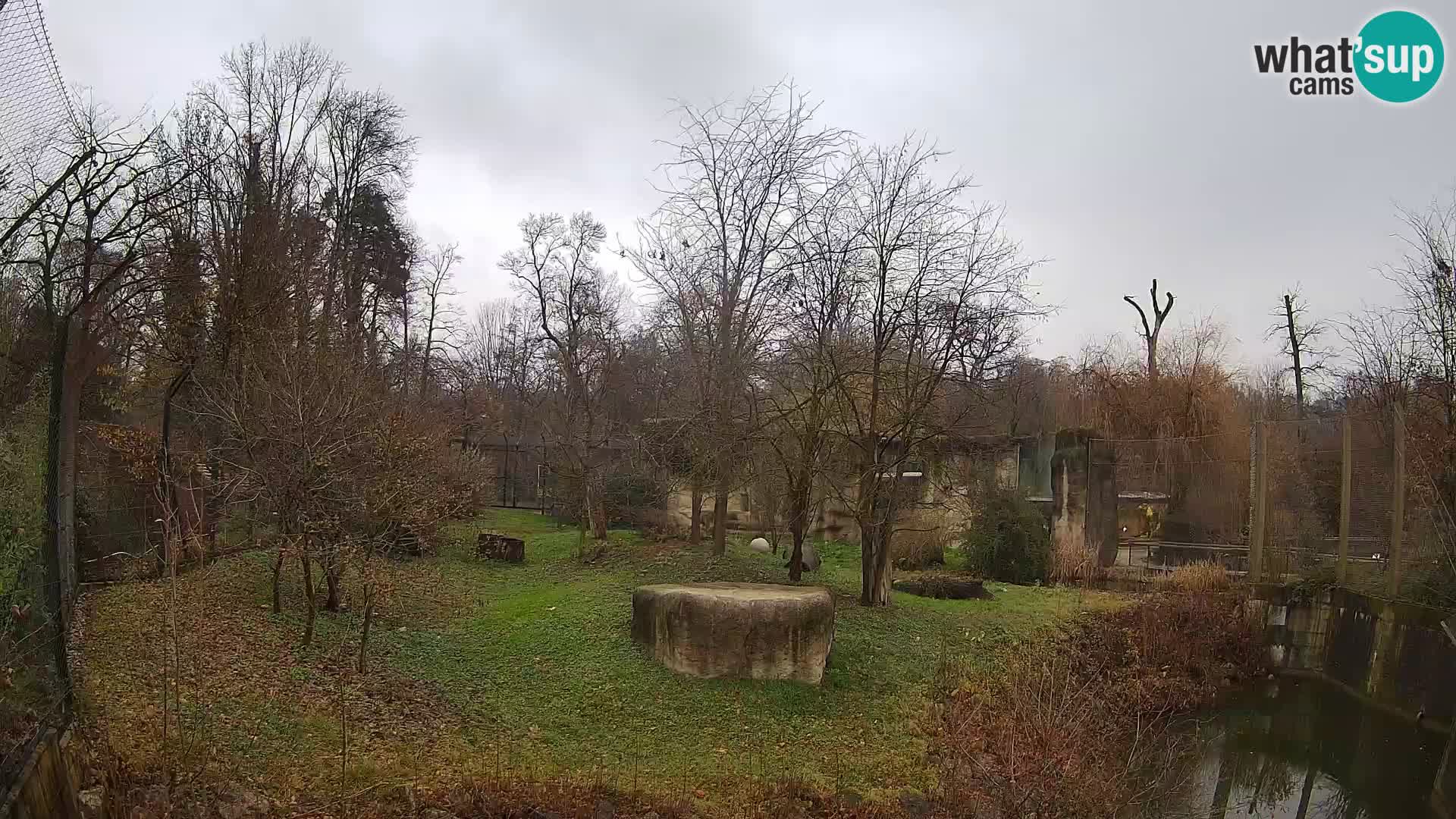 Zoo Zagreb – Leoni