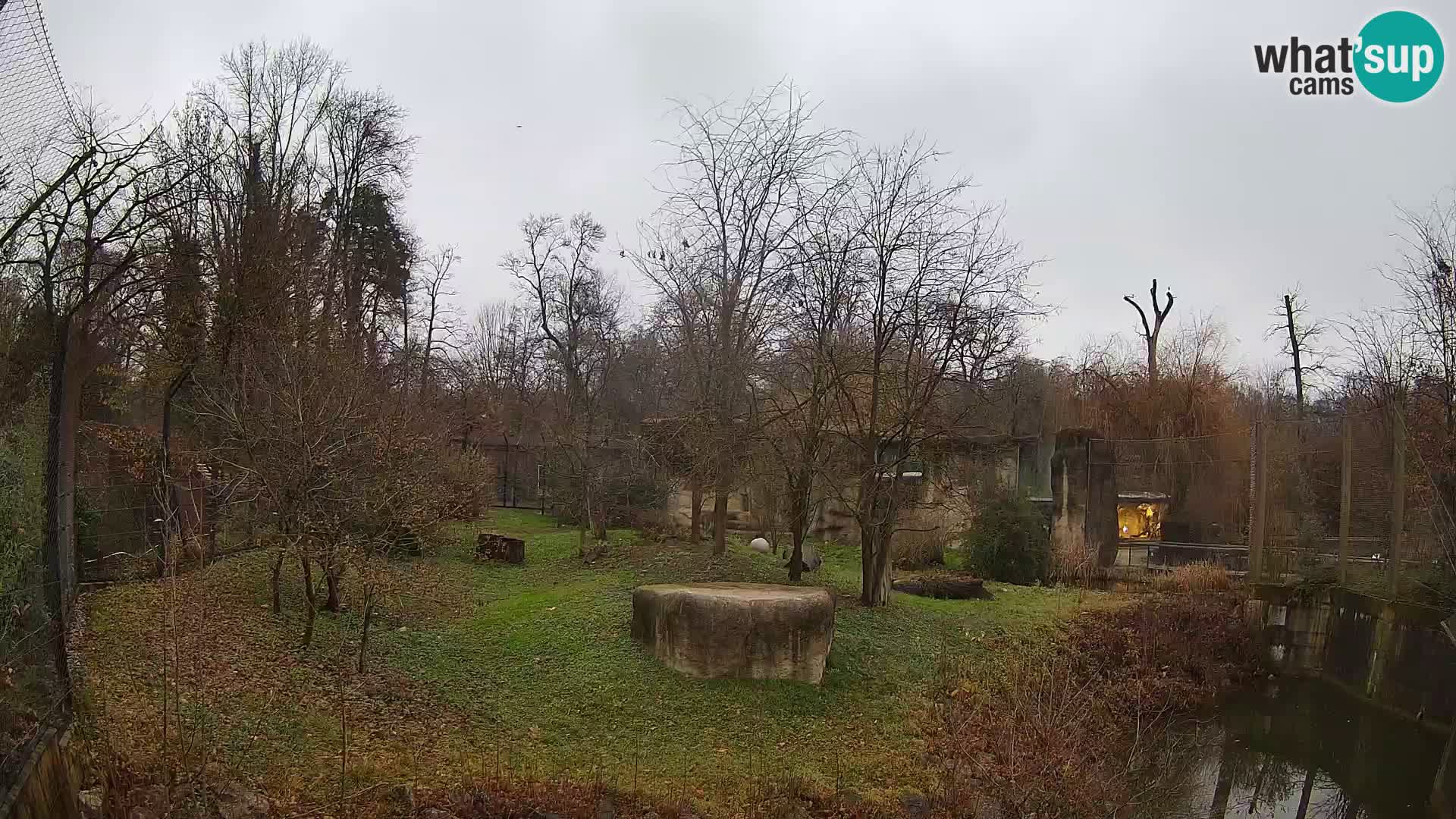 Zoo Zagreb – Leoni