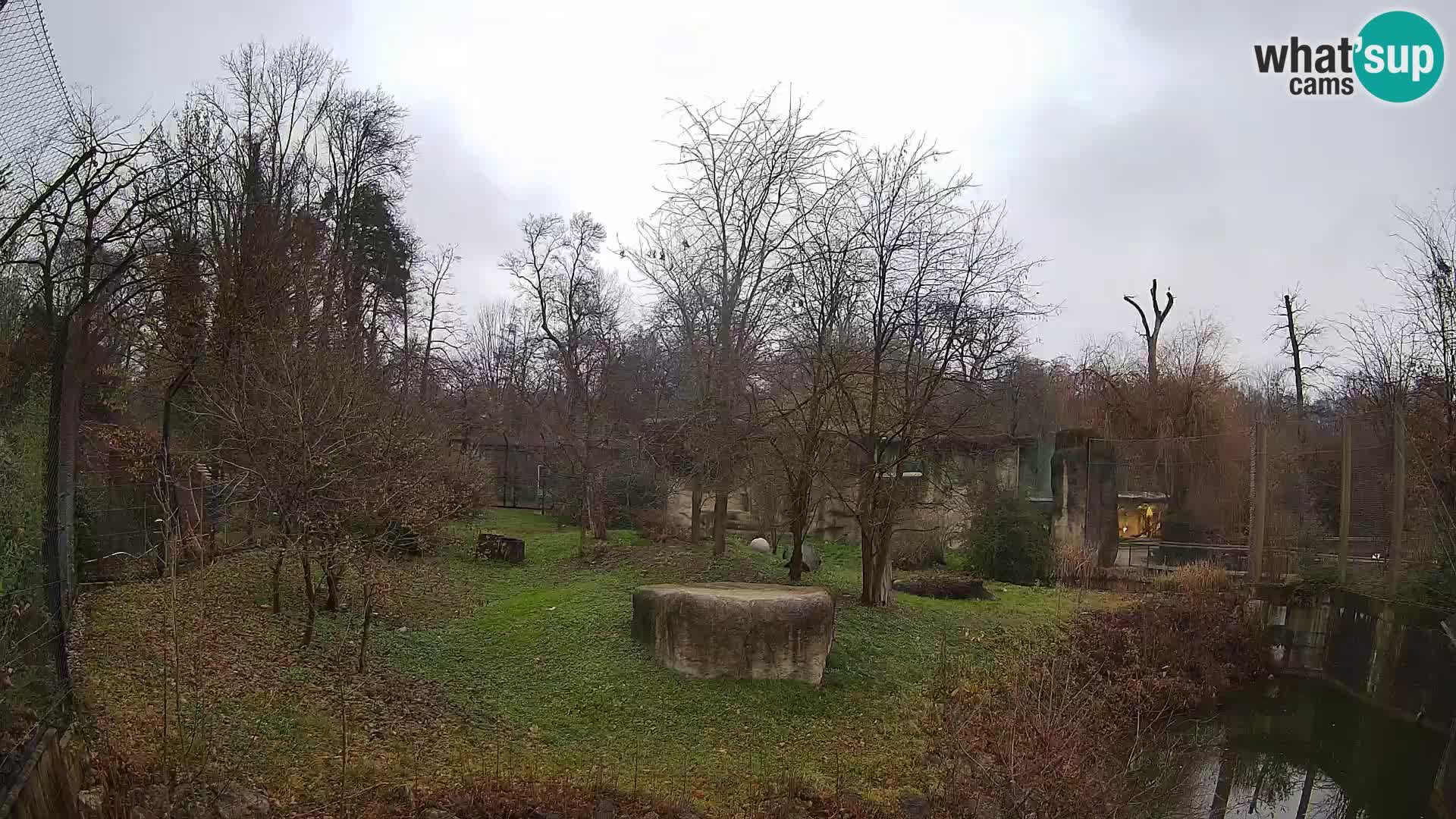 Zoo Zagreb – Leoni