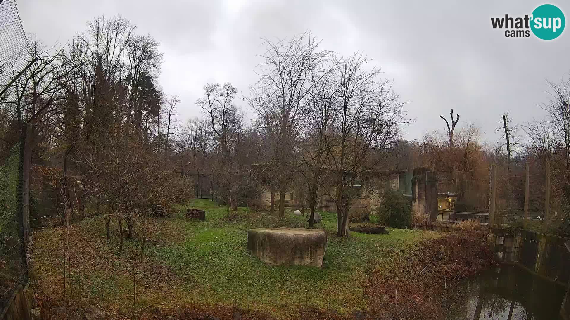 Zoo Zagreb – Leoni