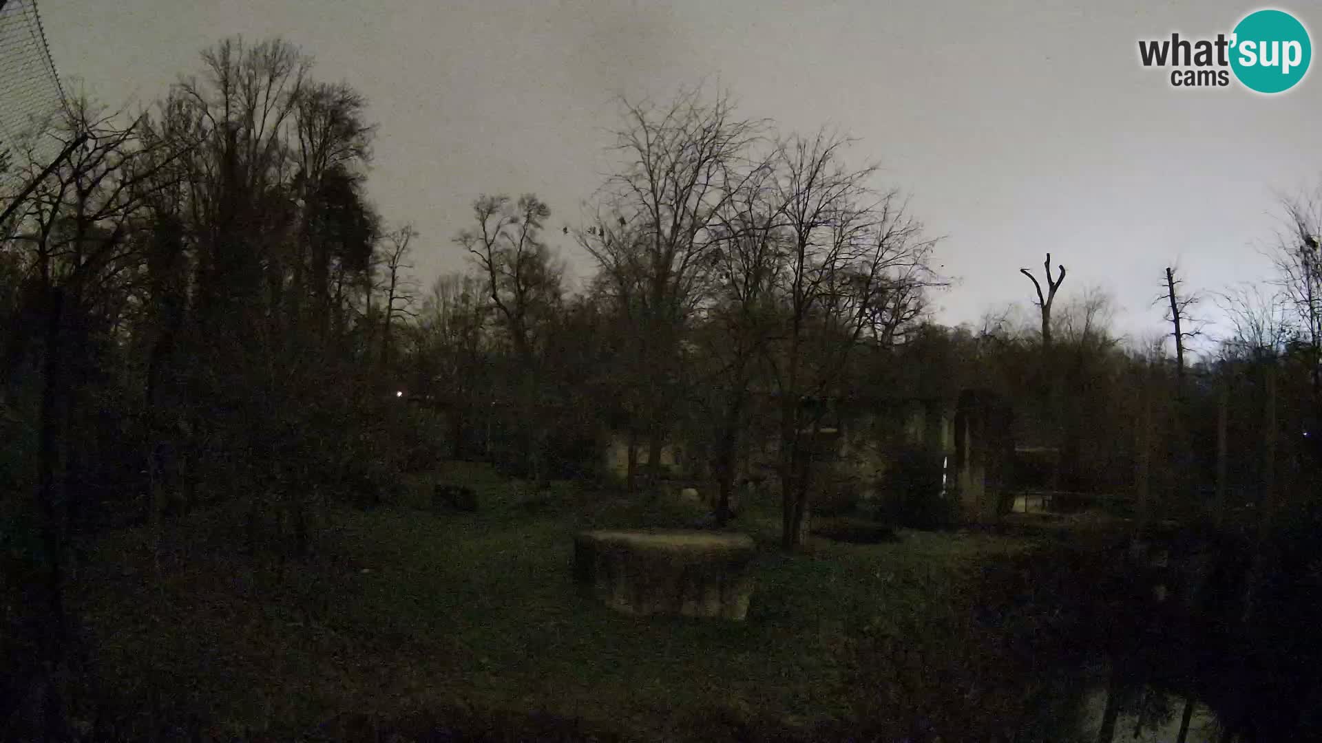 Zoo Zagreb – Lavovi