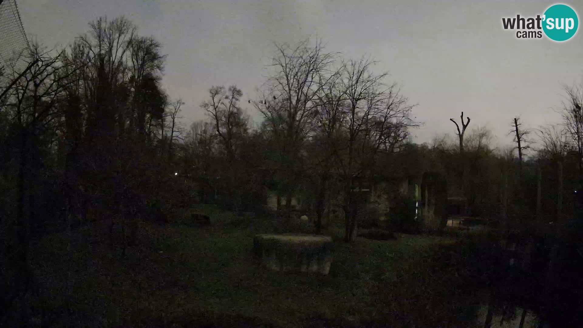 Zoo Zagreb – Leones