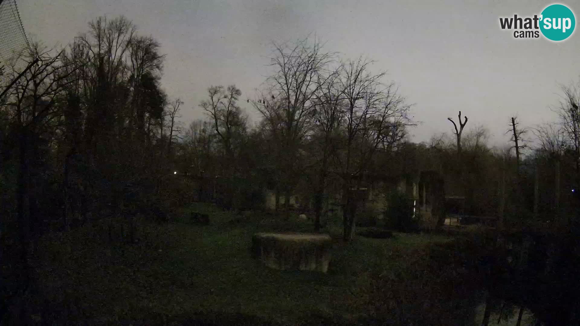 Zoo Zagreb – Leoni