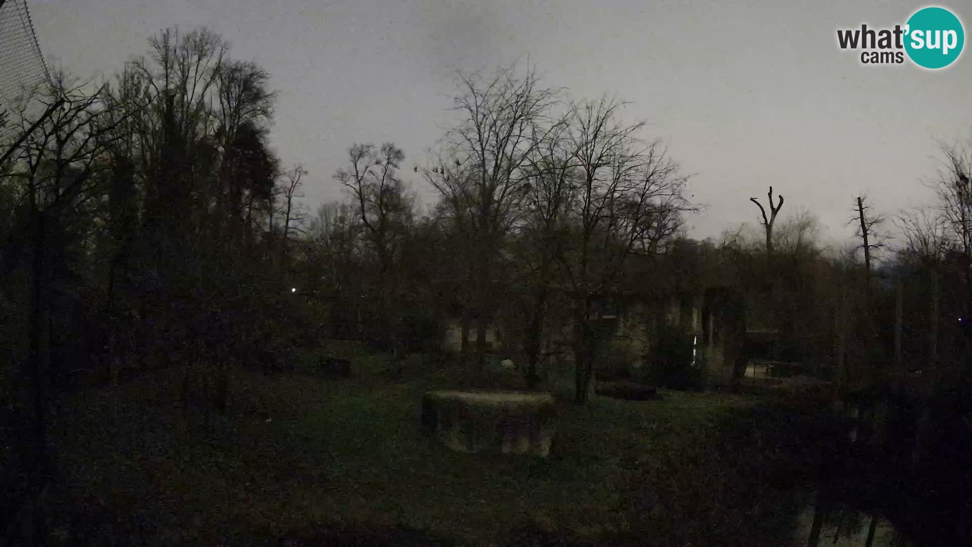 Zoo Zagreb – Löwen