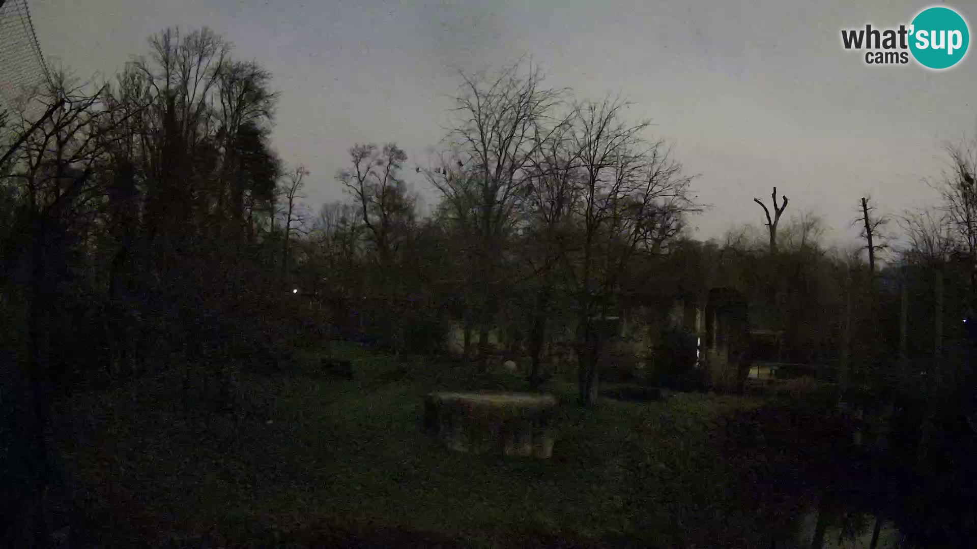 Zoo Zagreb – Löwen