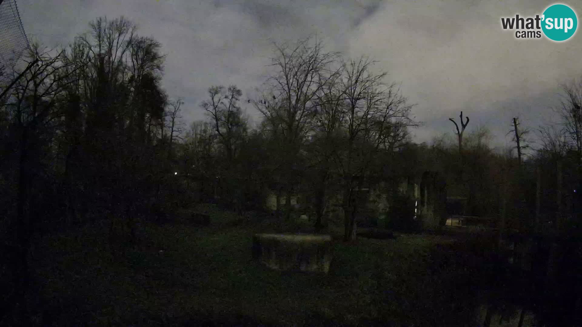 Zoo Zagreb – Leones