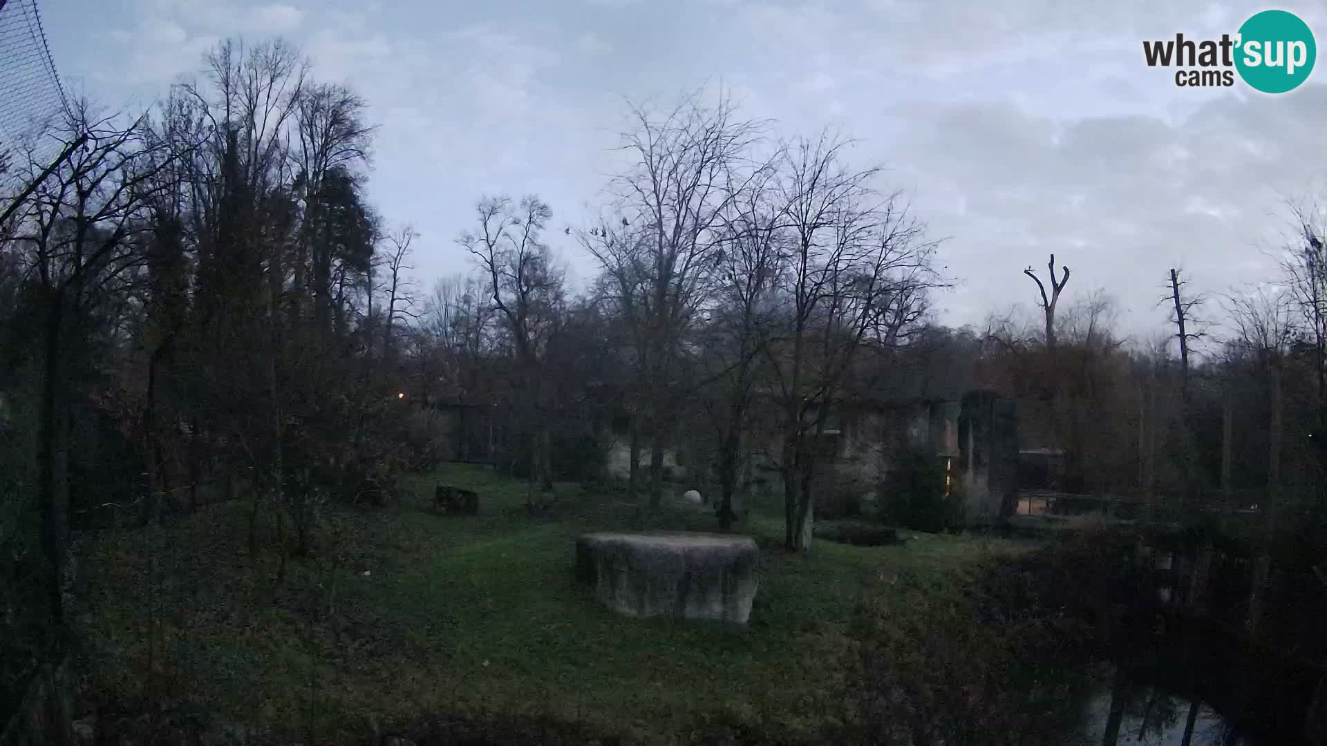 Zoo Zagreb – Lavovi