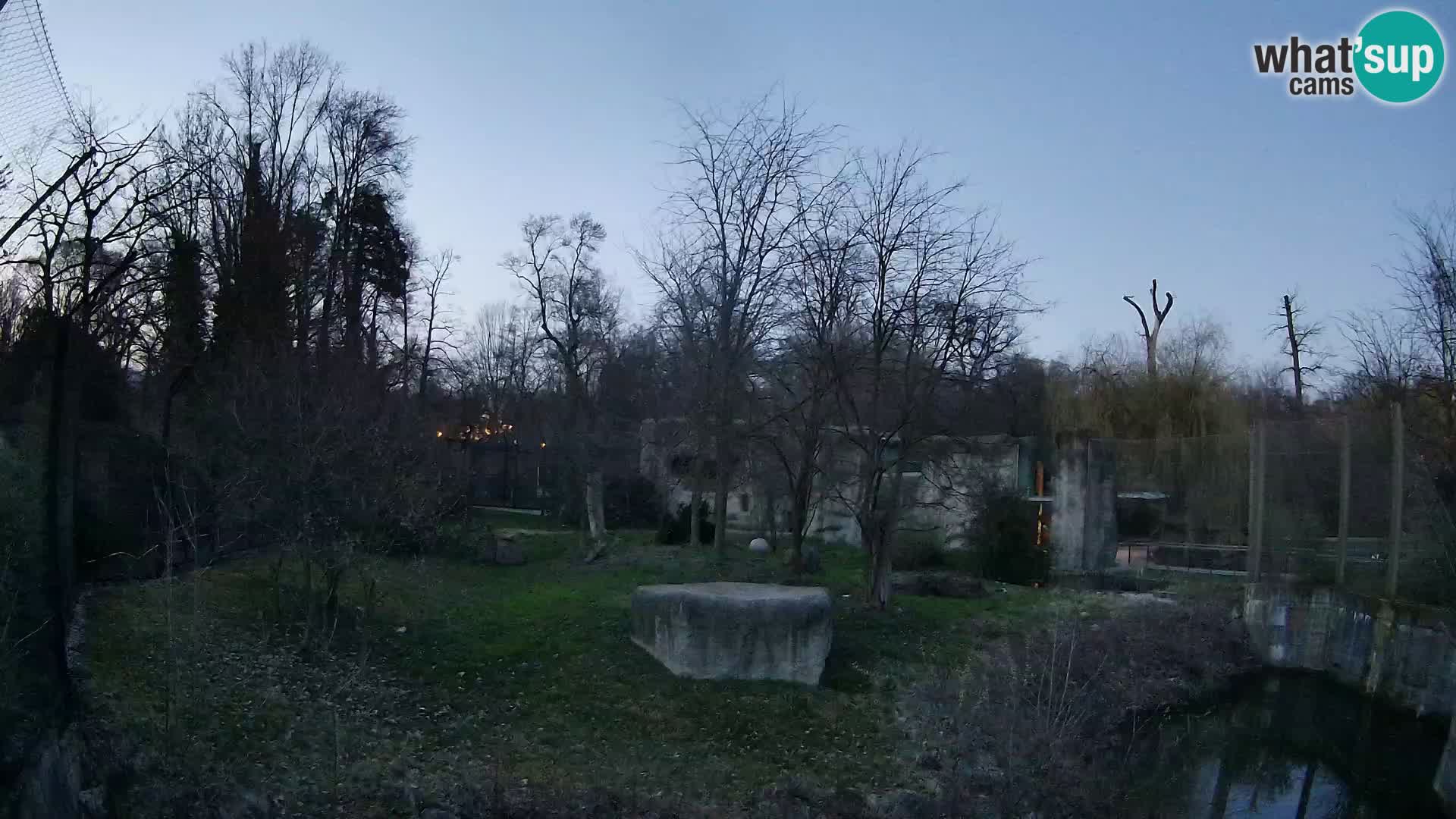 Zoo Zagreb – Lavovi