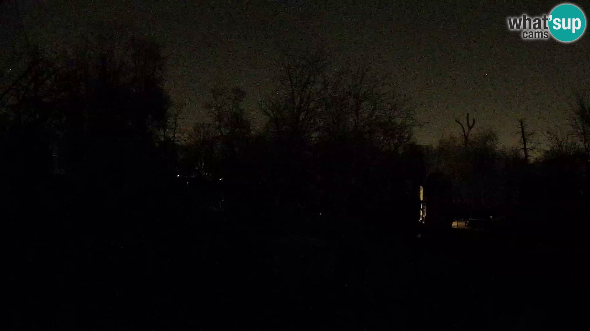 Spletna kamera Zoo Zagreb – Levi