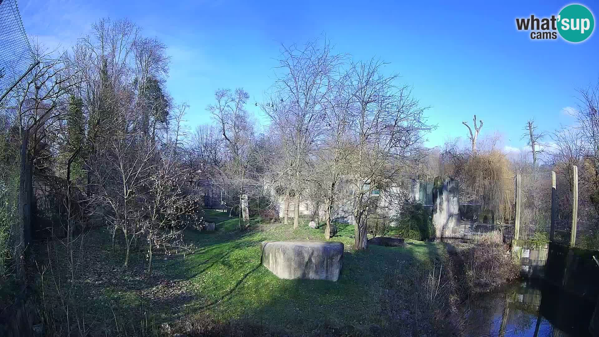 Zoo Zagreb – Lavovi