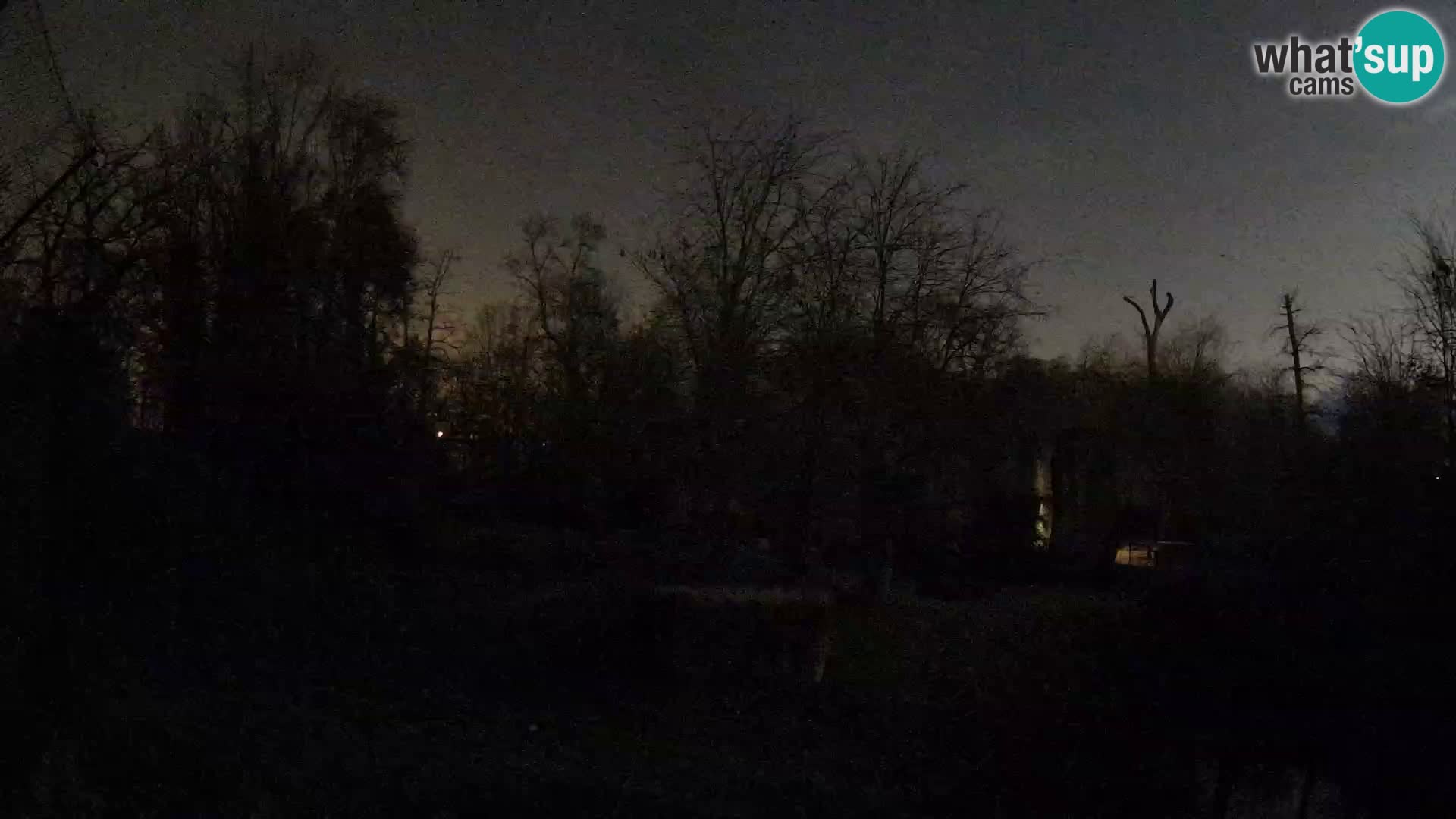 Spletna kamera Zoo Zagreb – Levi