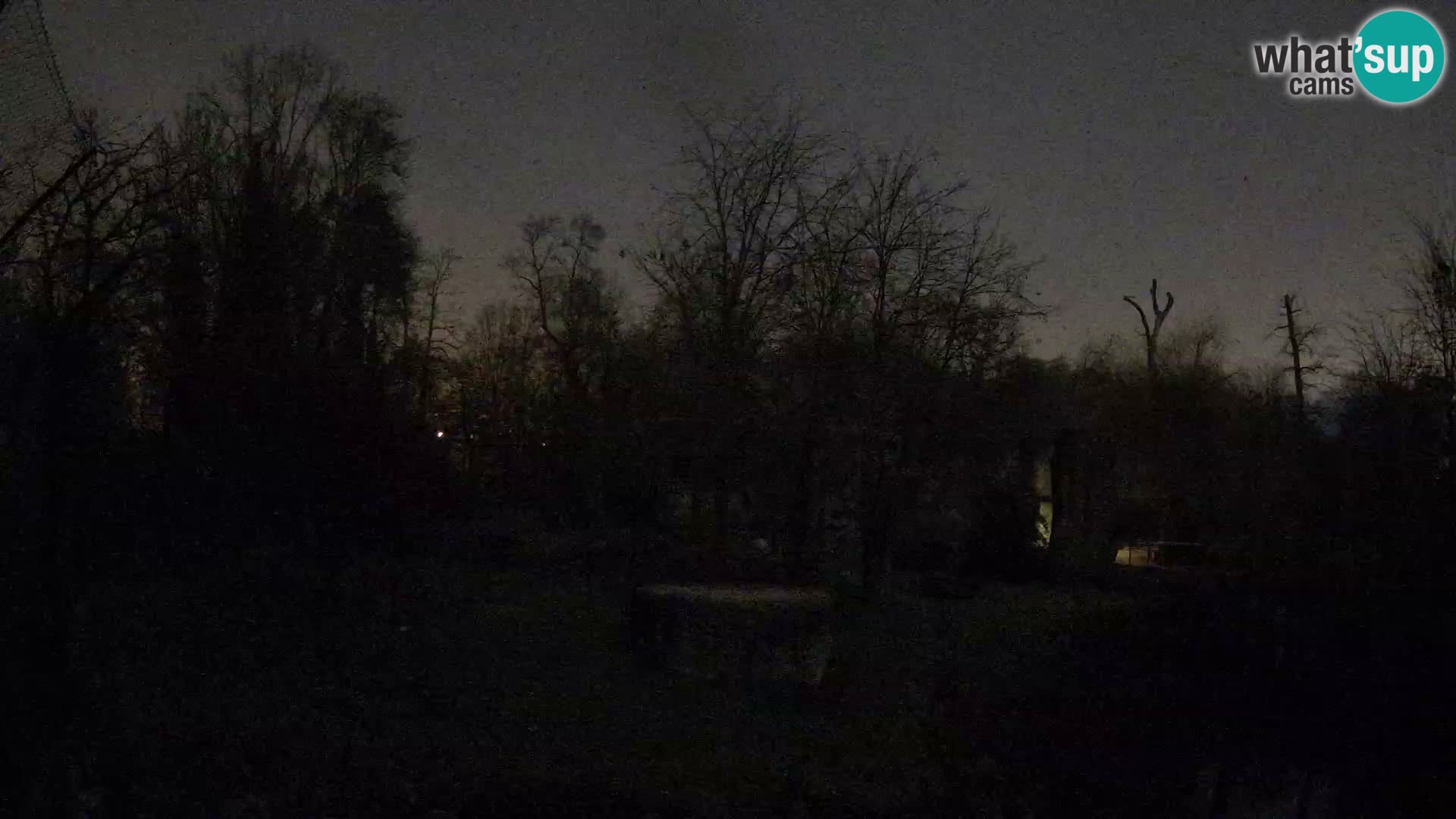 Spletna kamera Zoo Zagreb – Levi