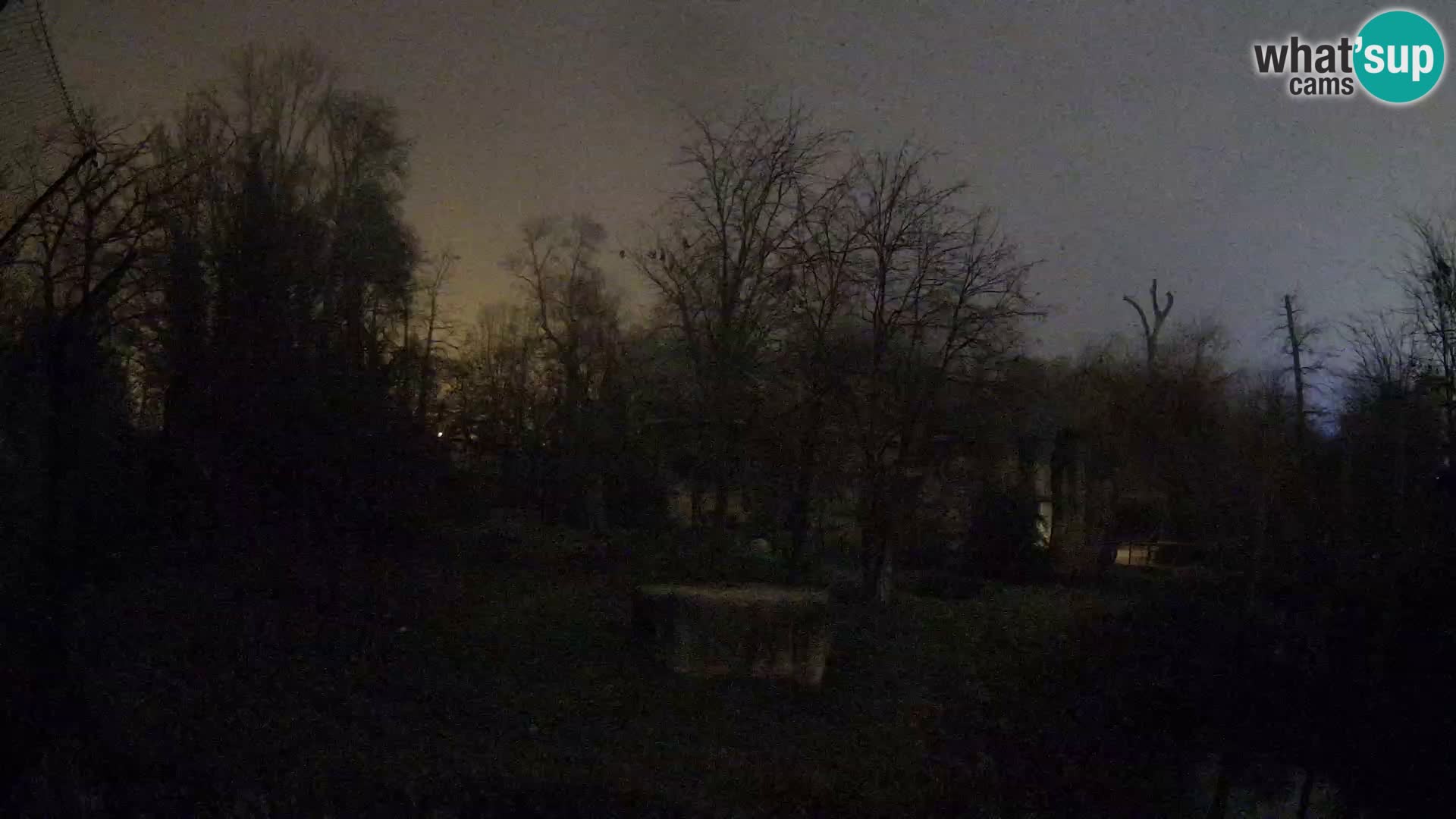 Zoo Zagreb – Leones