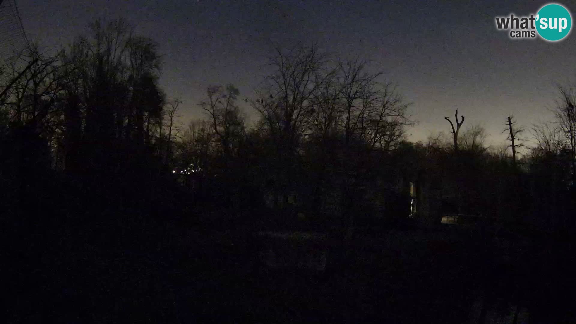 Spletna kamera Zoo Zagreb – Levi