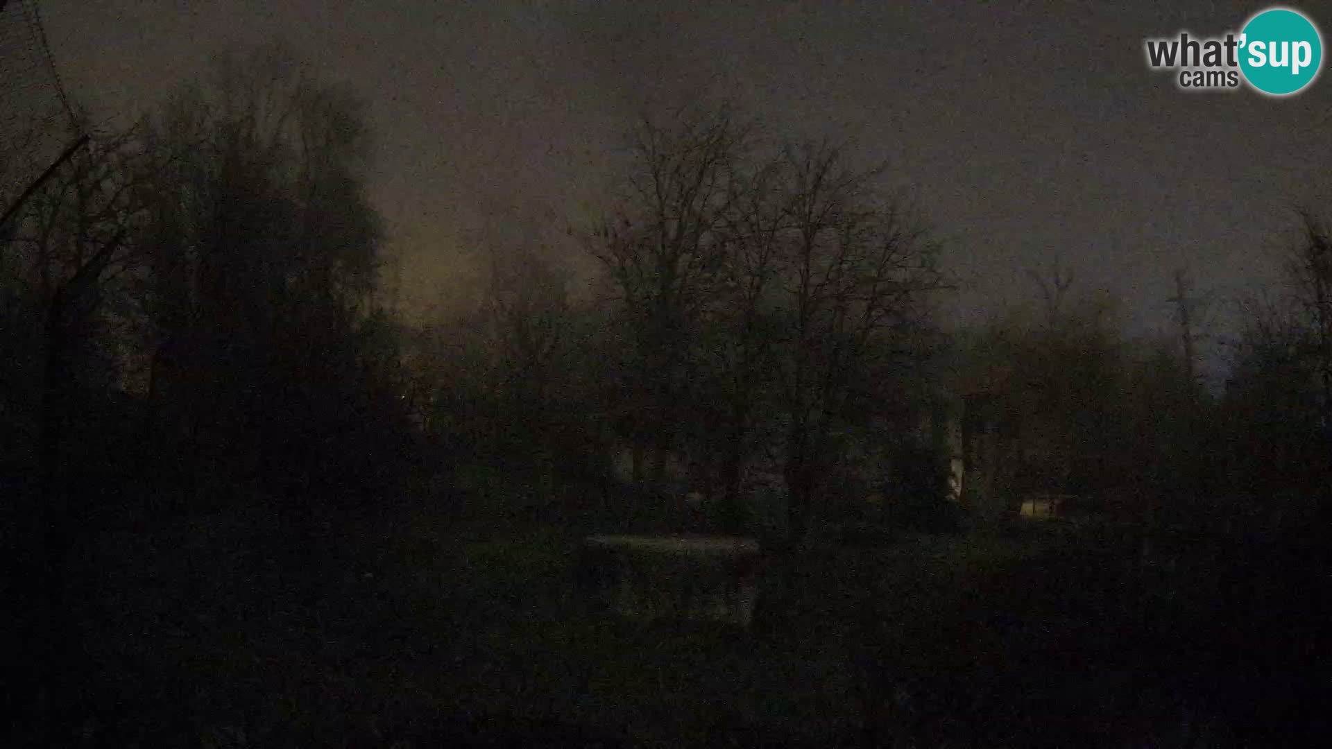 Zoo Zagreb – Leoni