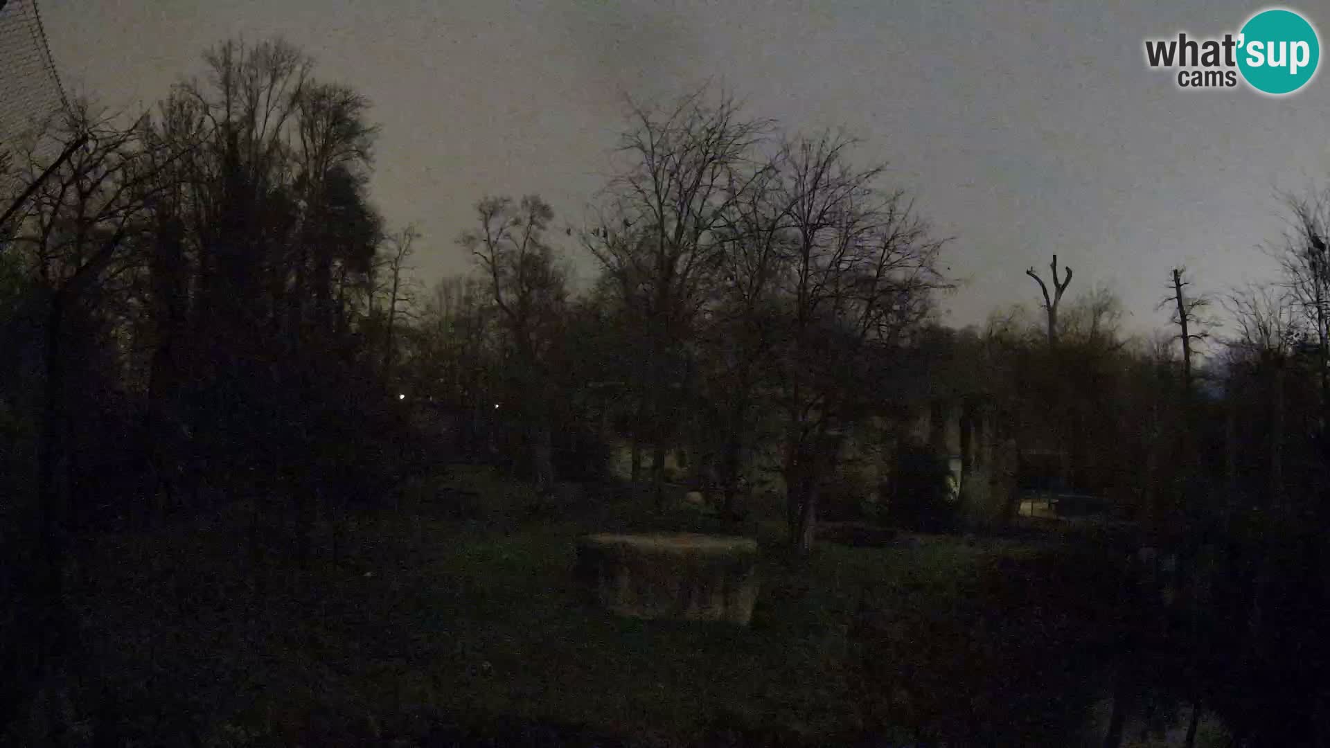 Zoo Zagreb – Löwen