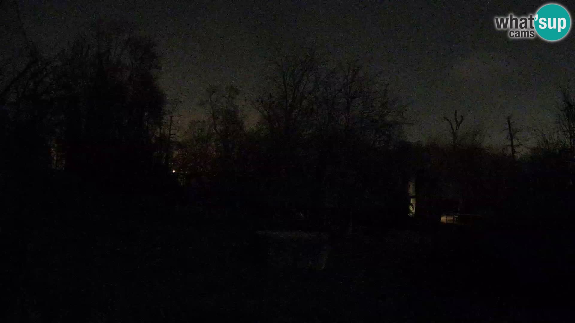 Zoo Zagreb – Löwen