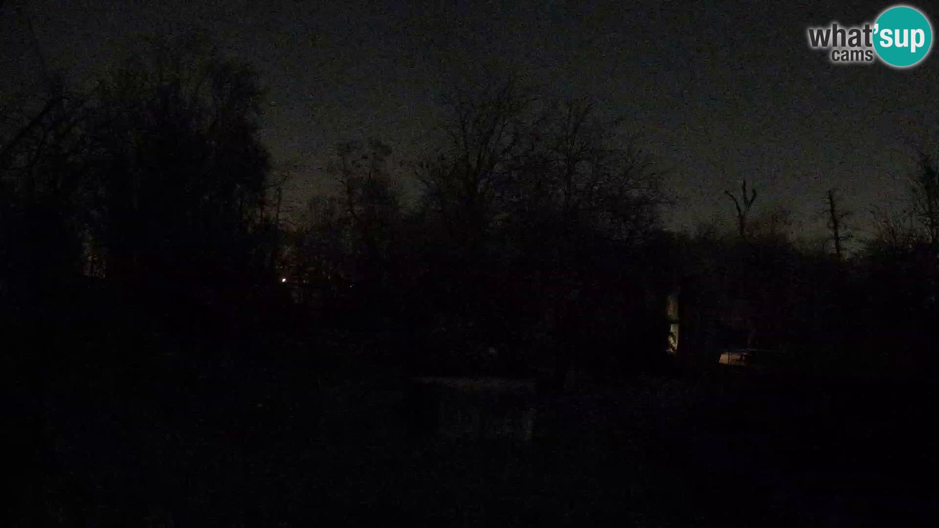 Zoo Zagreb – Löwen