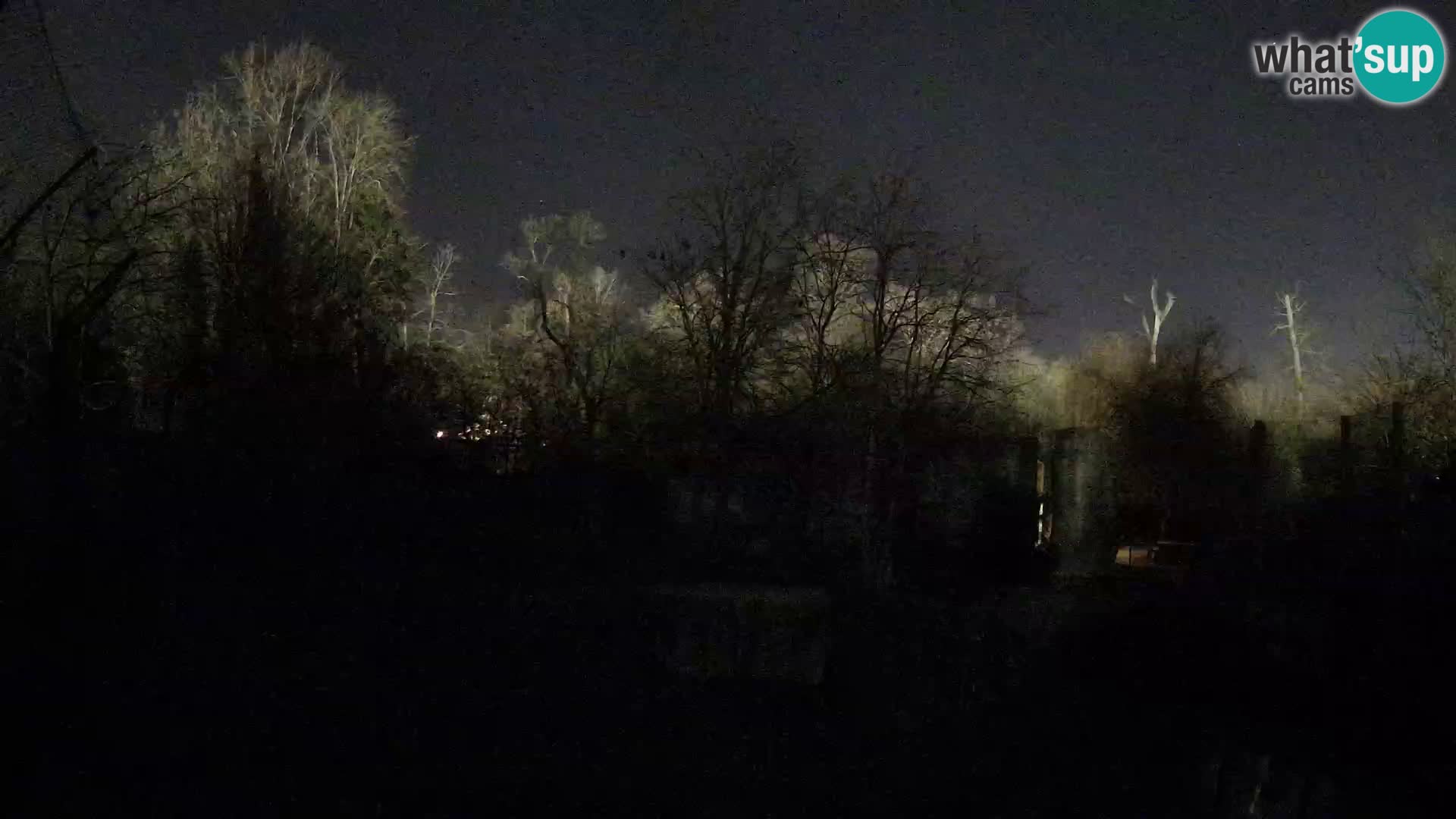 Zoo Zagreb – Löwen