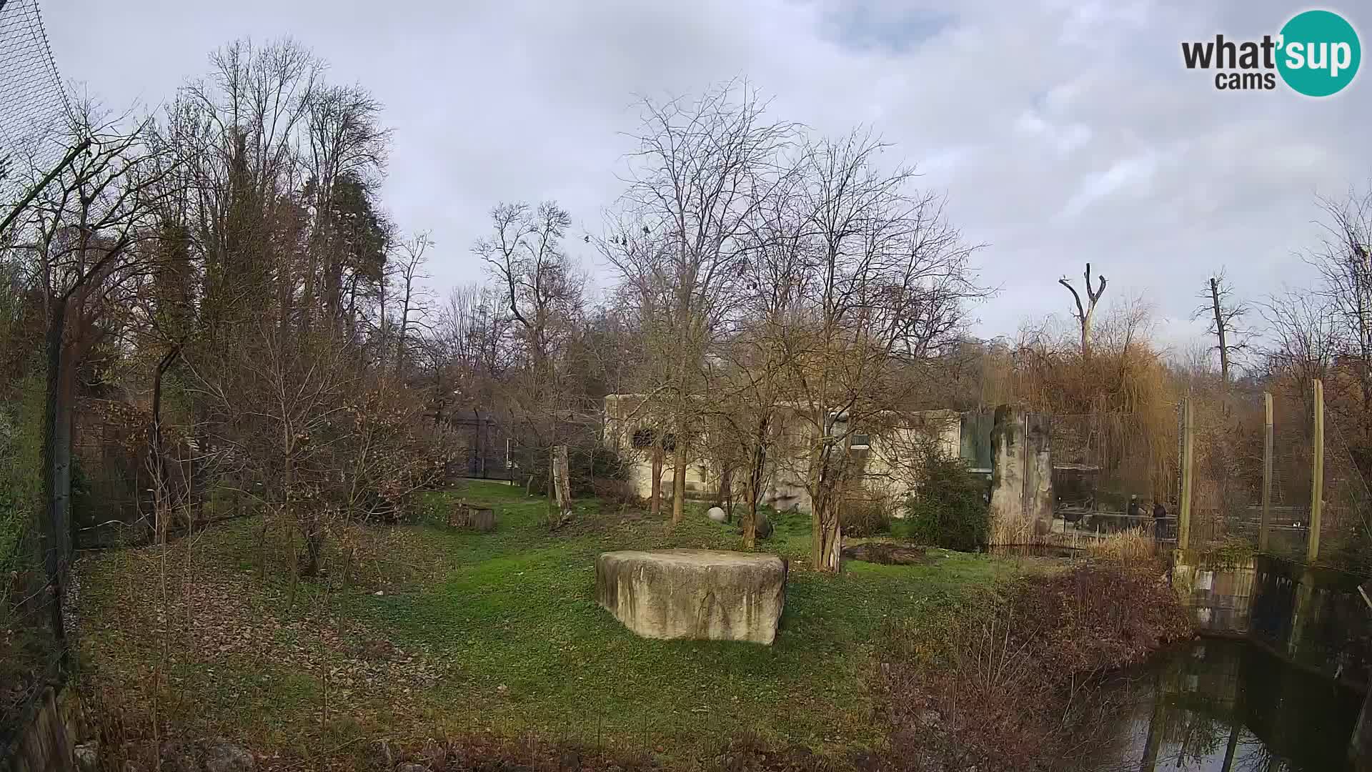 Spletna kamera Zoo Zagreb – Levi