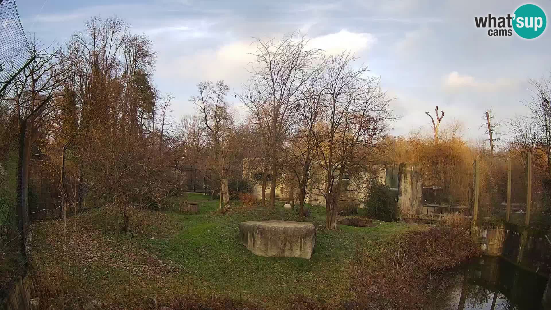 Zoo Zagreb – Lavovi