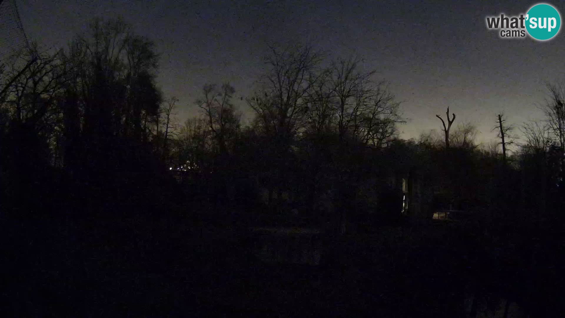 Zoo Zagreb – Leones