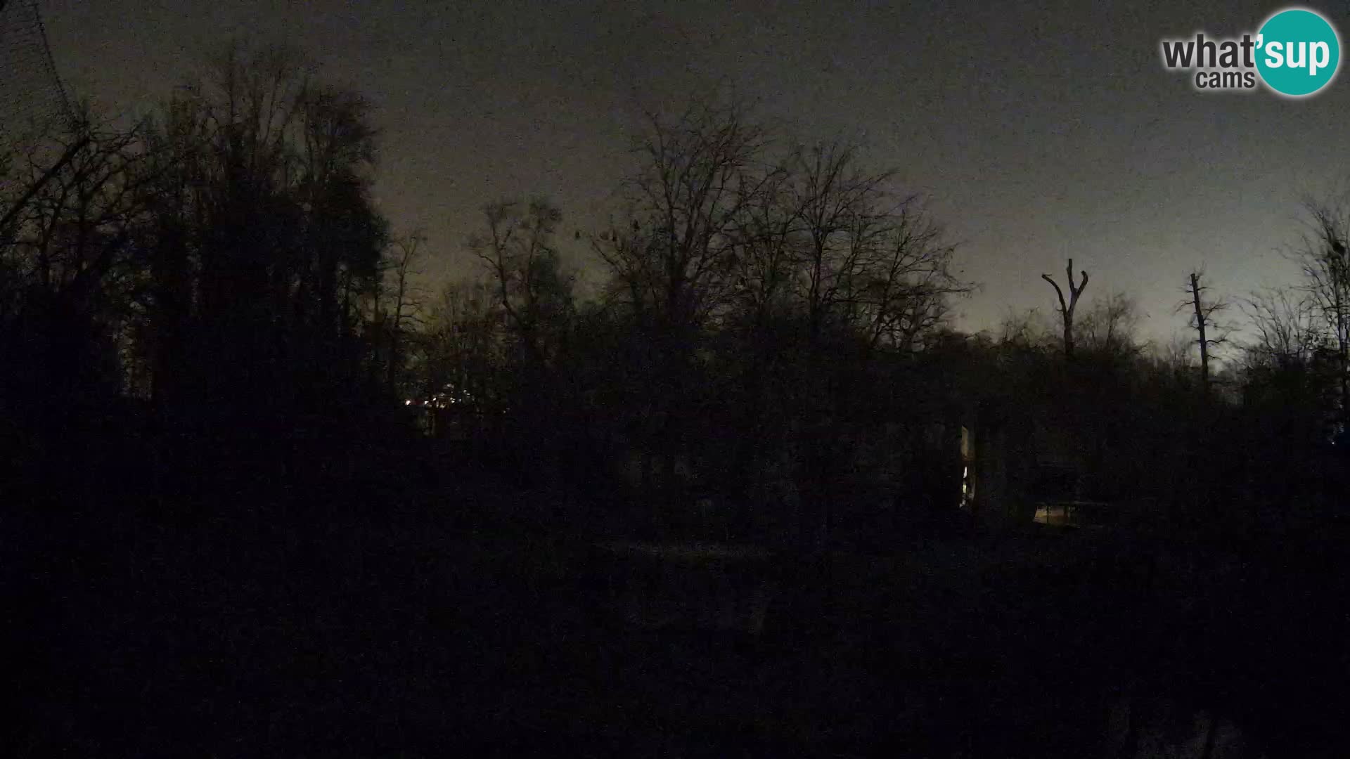 Zoo Zagreb – Leoni