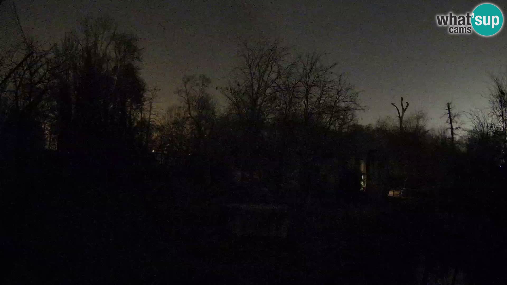 Zoo Zagreb – Löwen