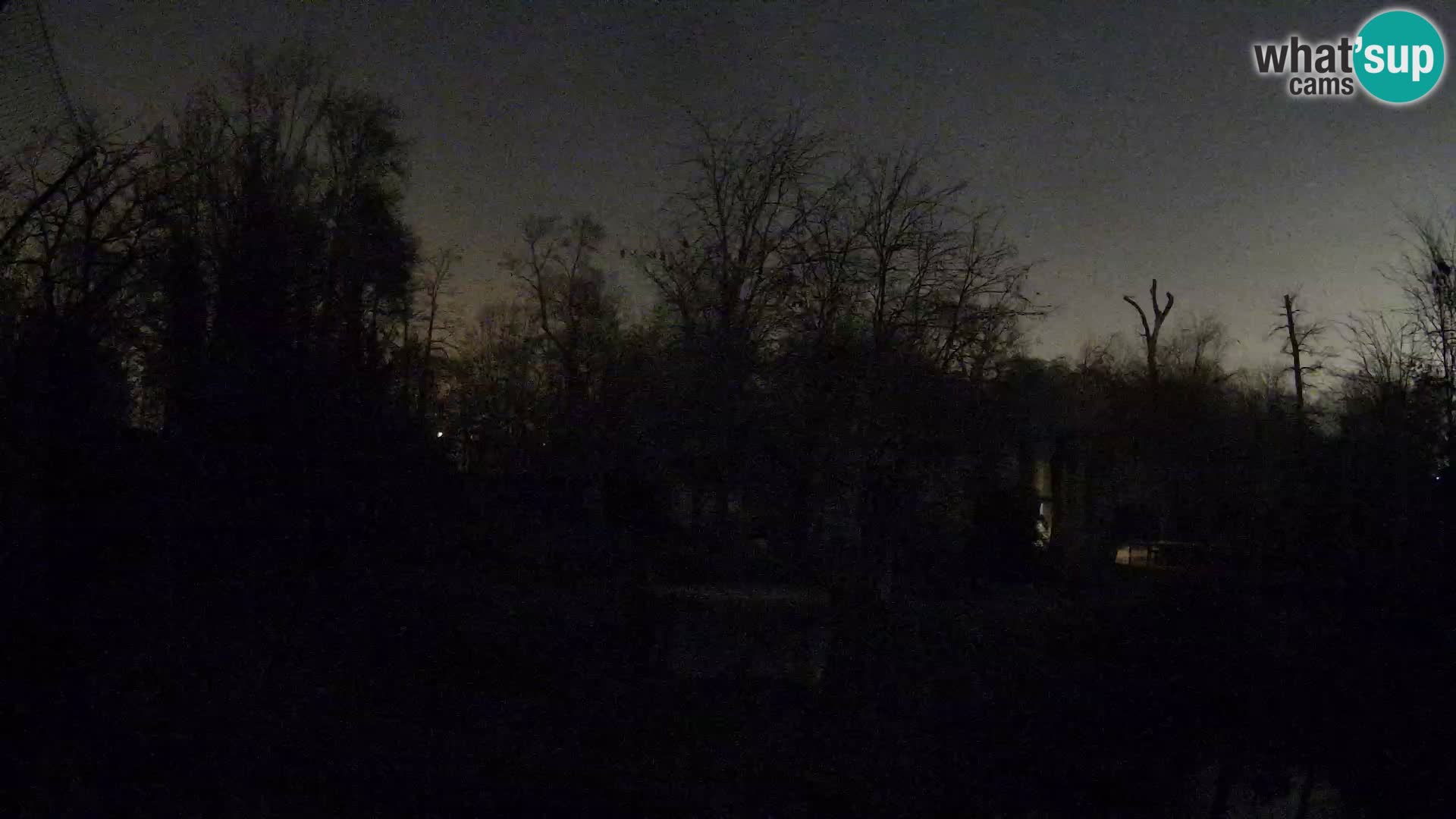 Zoo Zagreb – Löwen