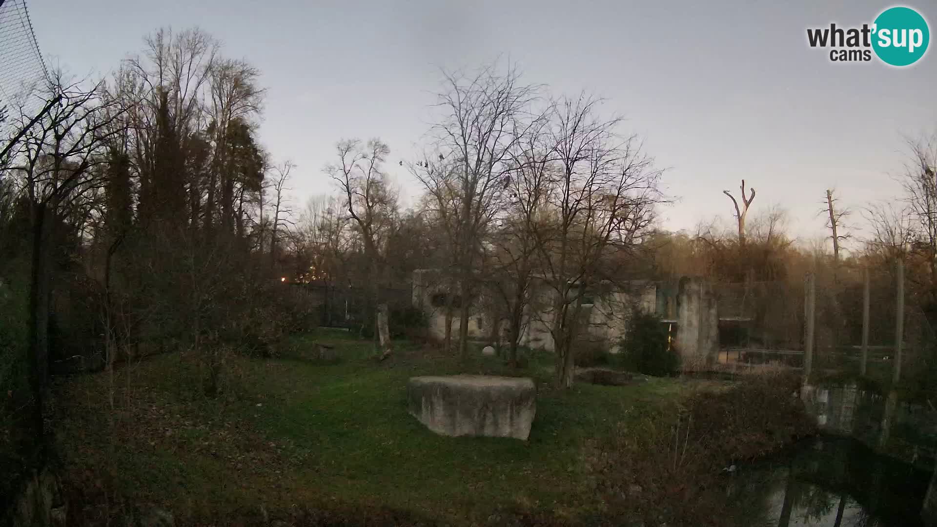 Zoo Zagreb – Löwen