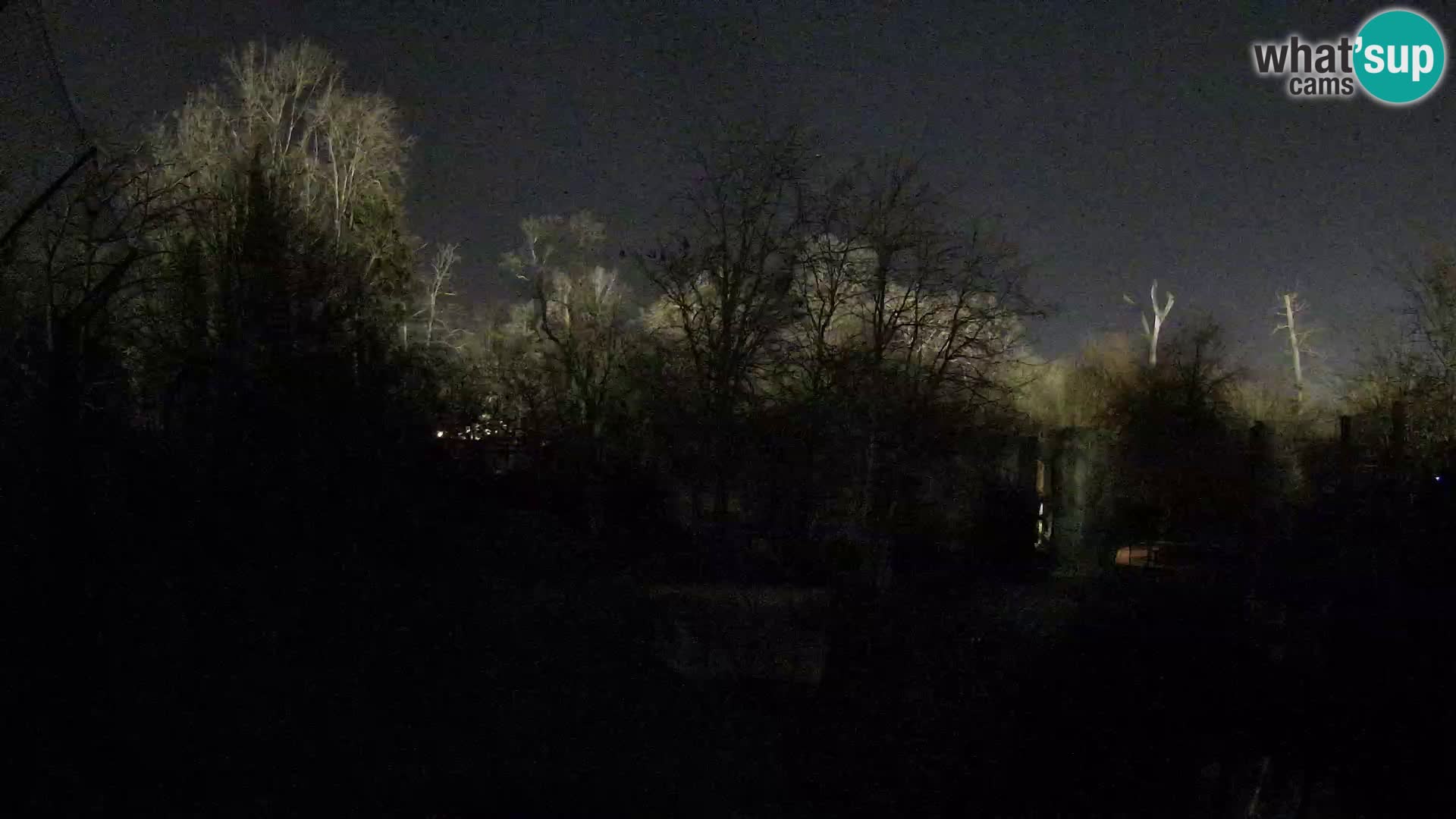 Zoo Zagreb – Lavovi