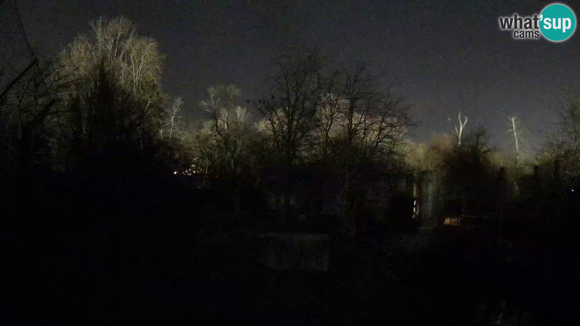 Zoo Zagreb – Leoni