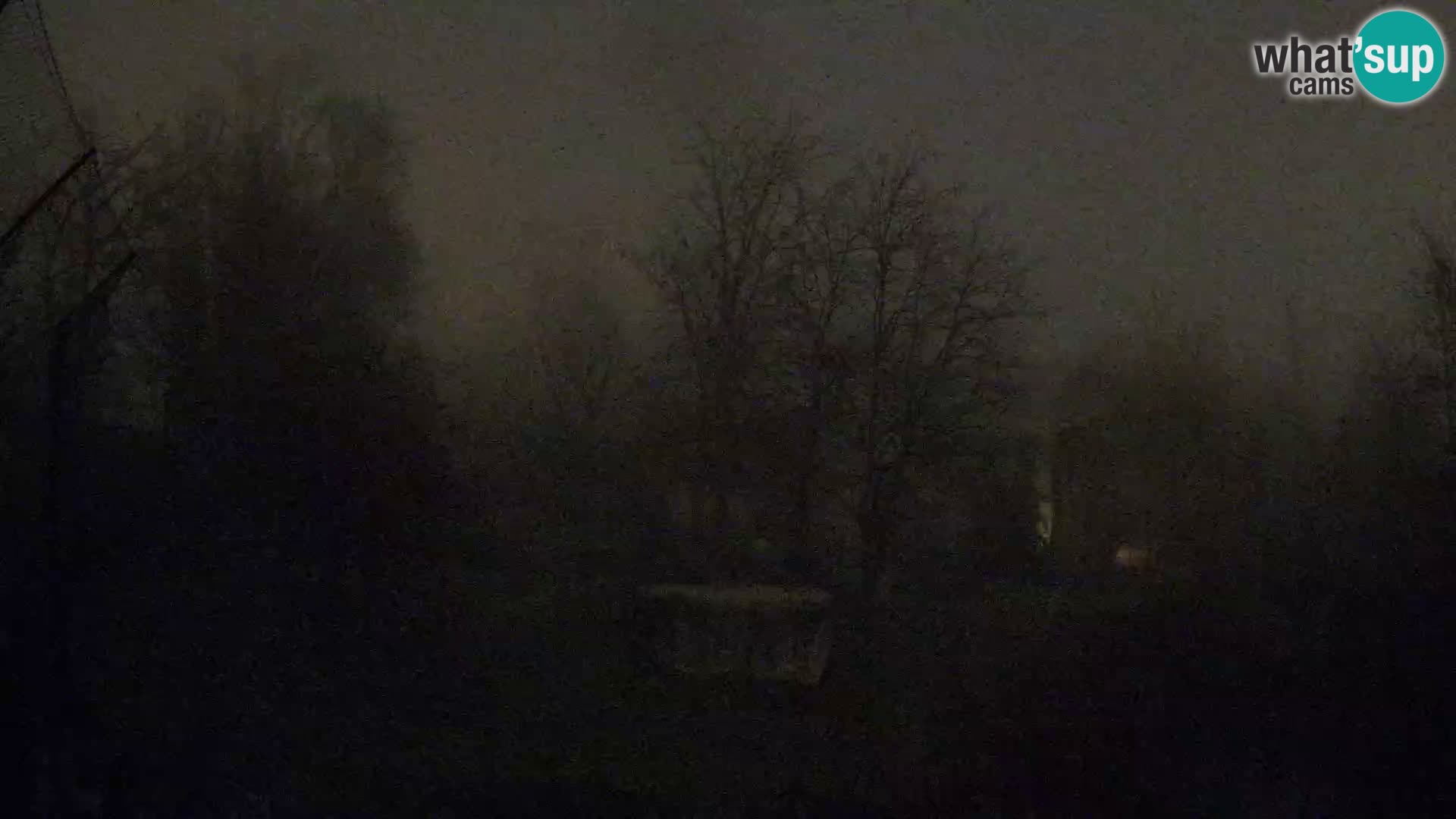 Zoo Zagreb – Leoni