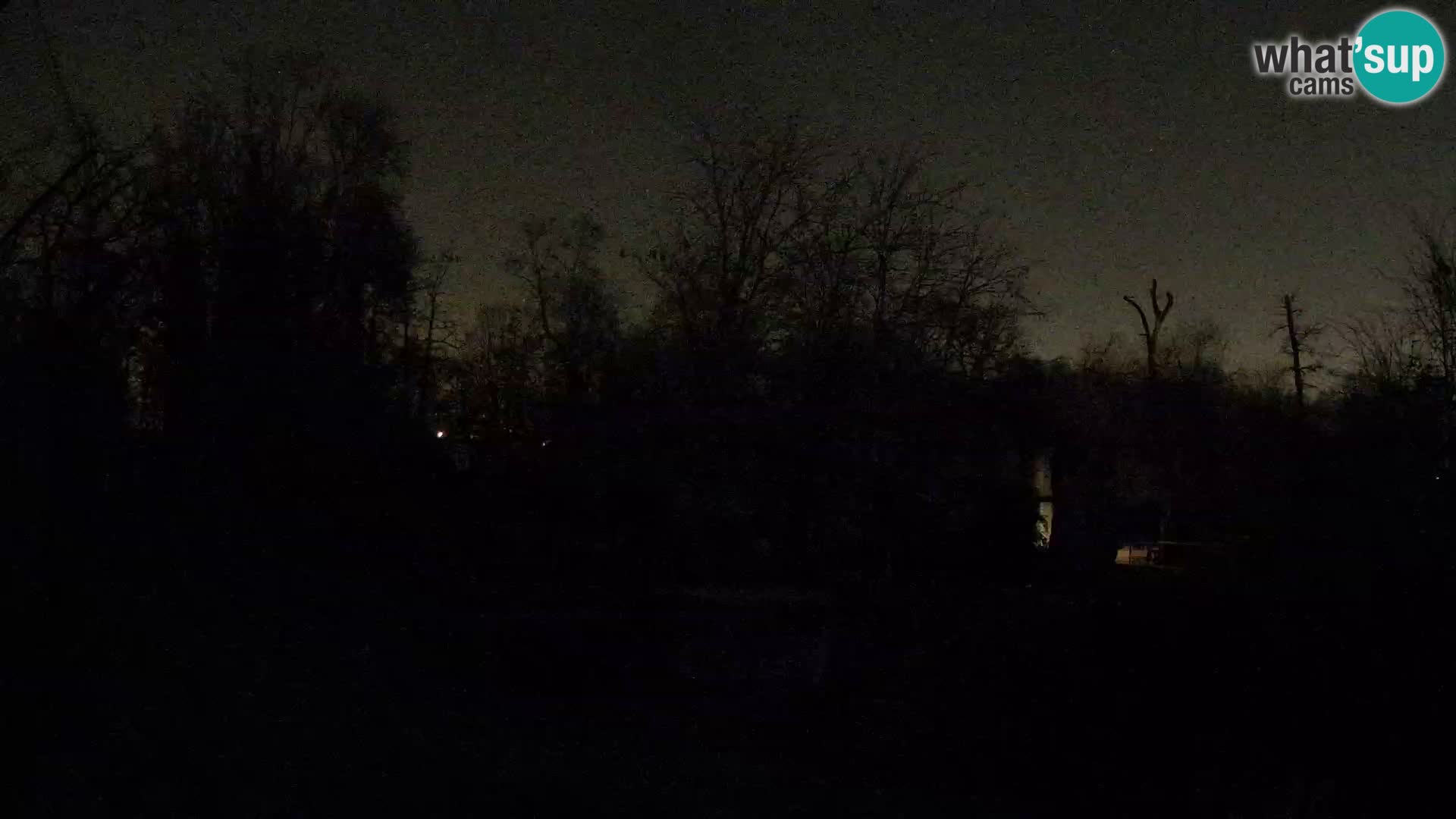 Zoo Zagreb – Lavovi