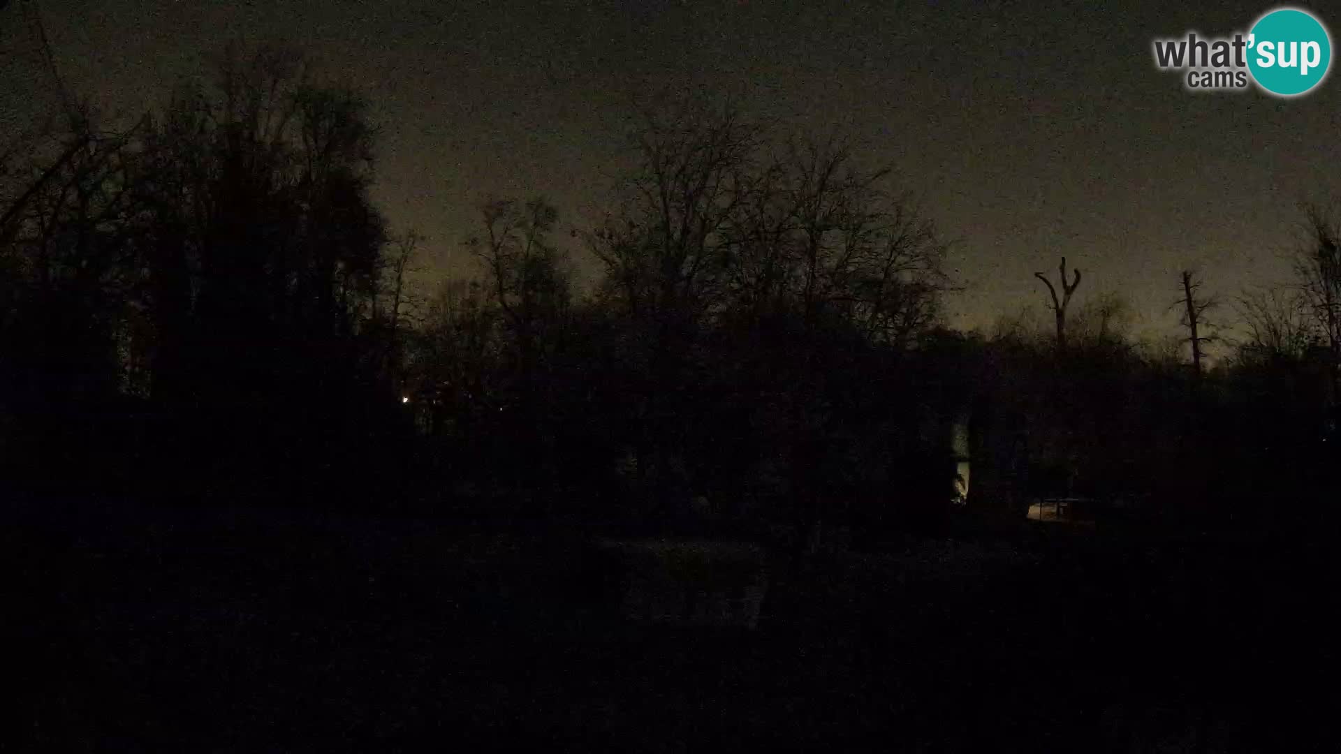 Spletna kamera Zoo Zagreb – Levi