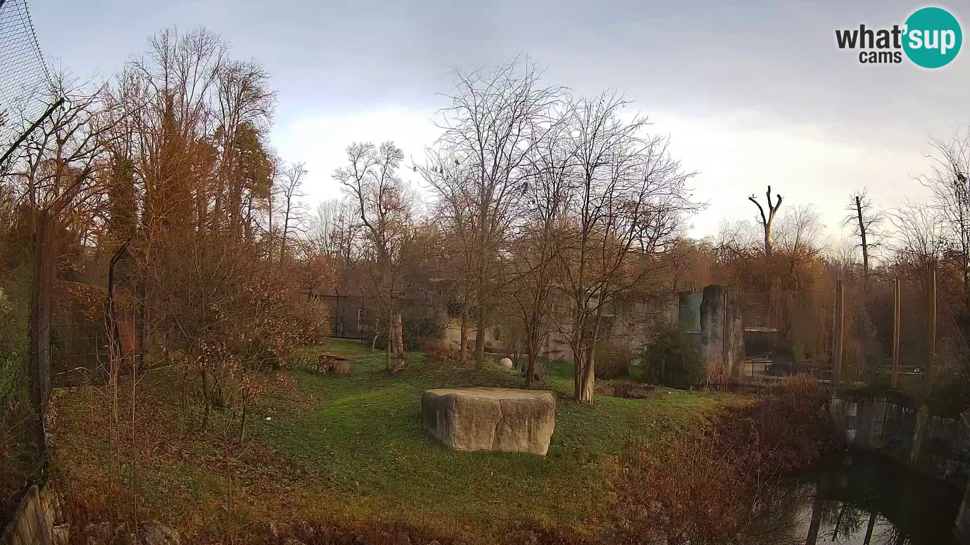 Zoo Zagreb – Löwen