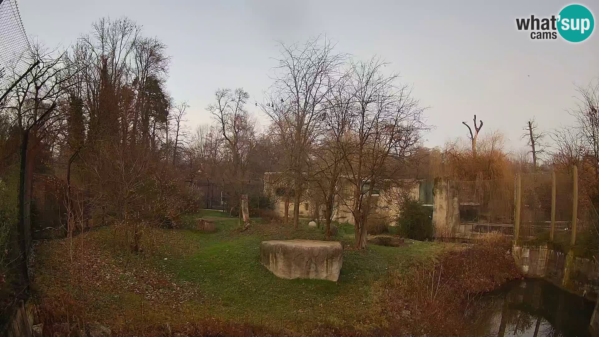 Zoo Zagreb – Löwen