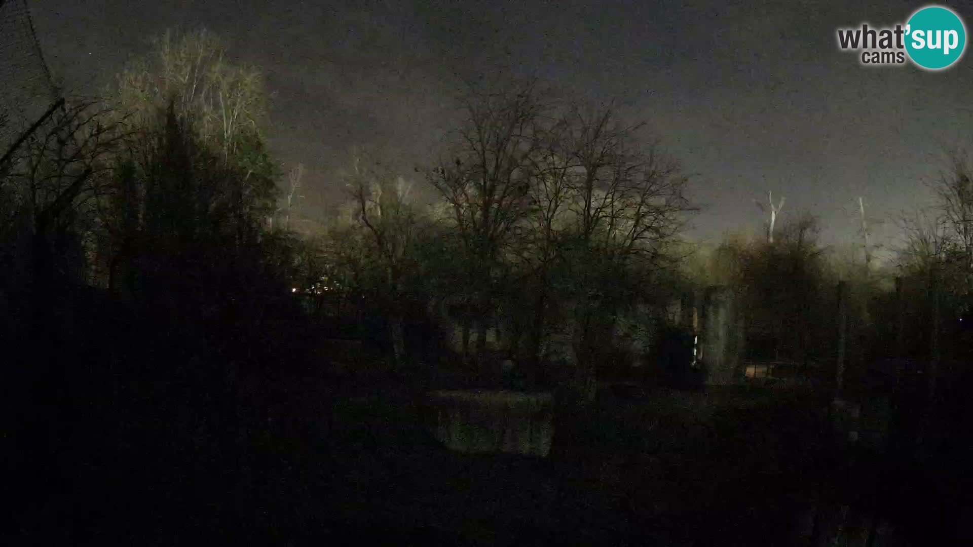 Zoo Zagreb – Lavovi