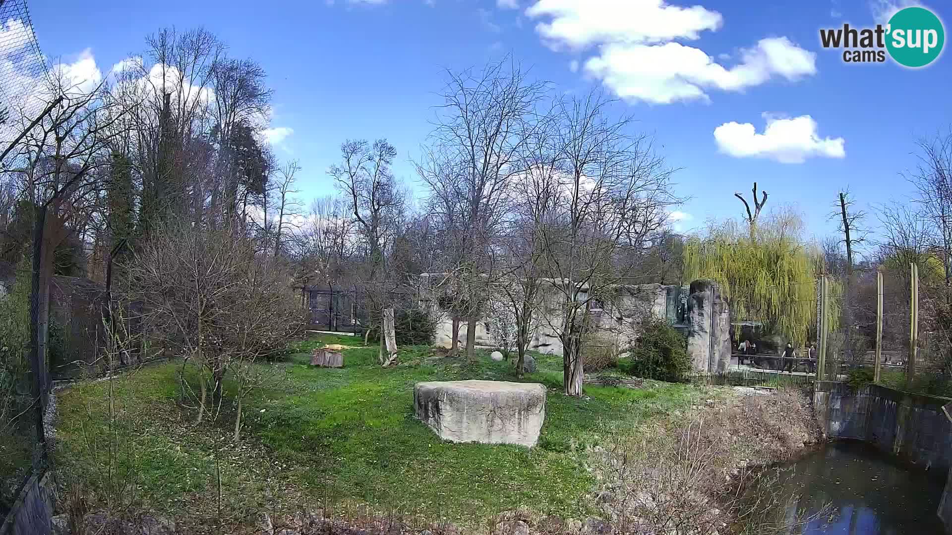 Zoo Zagreb – Löwen