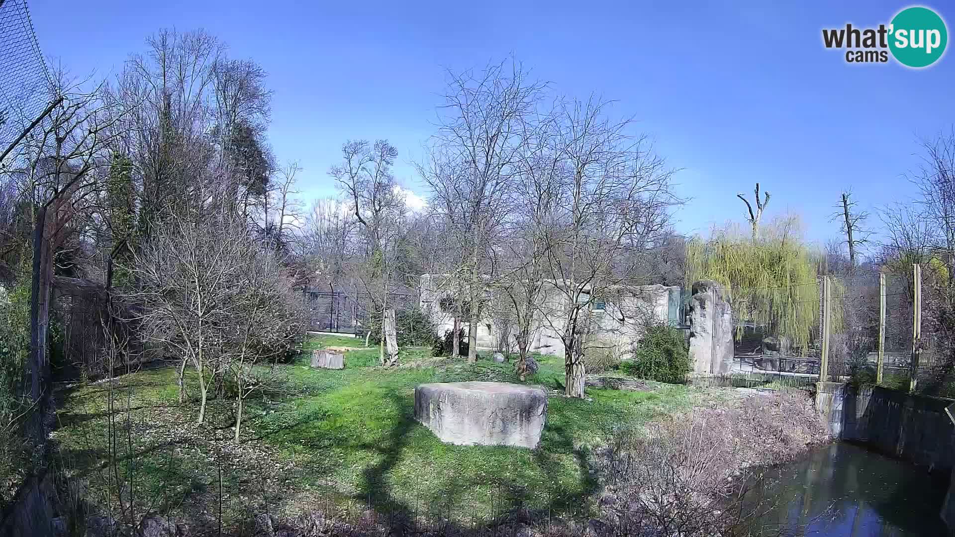 Zoo Zagreb – Leones