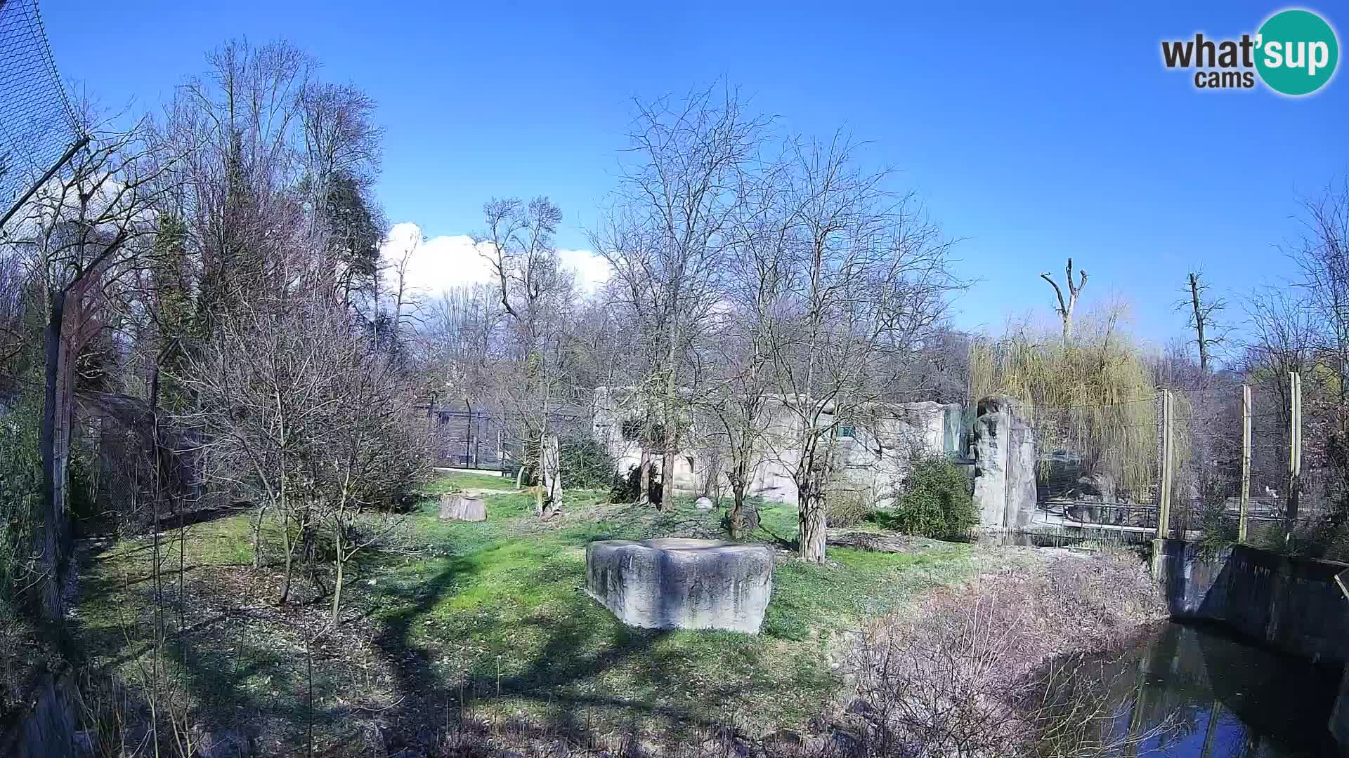 Zoo Zagreb – Löwen