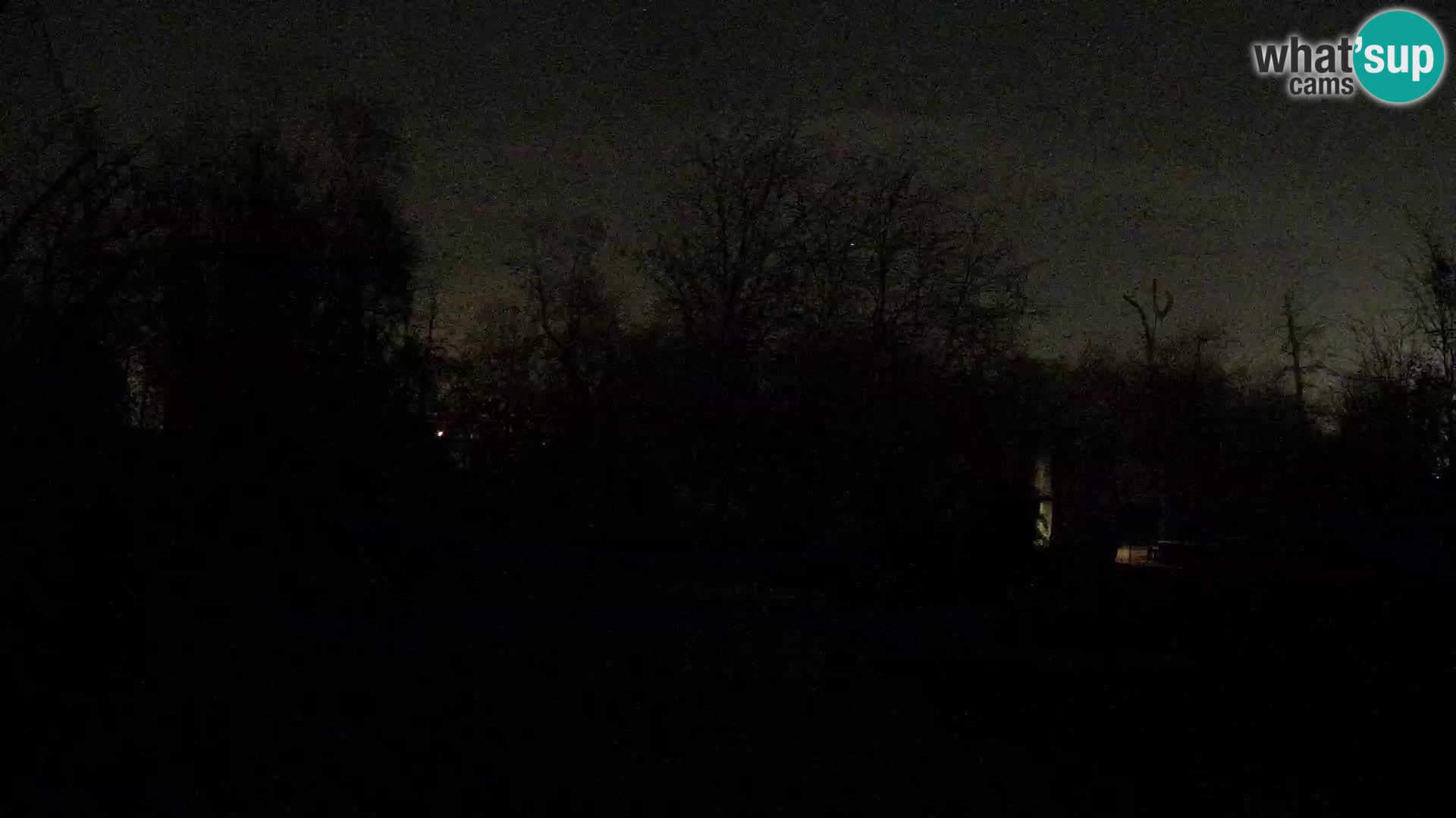 Zoo Zagreb – Lavovi