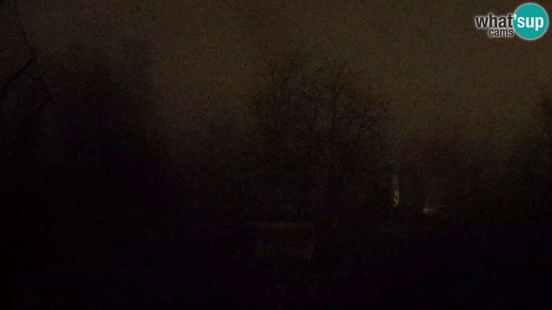 Zoo Zagreb – Leones