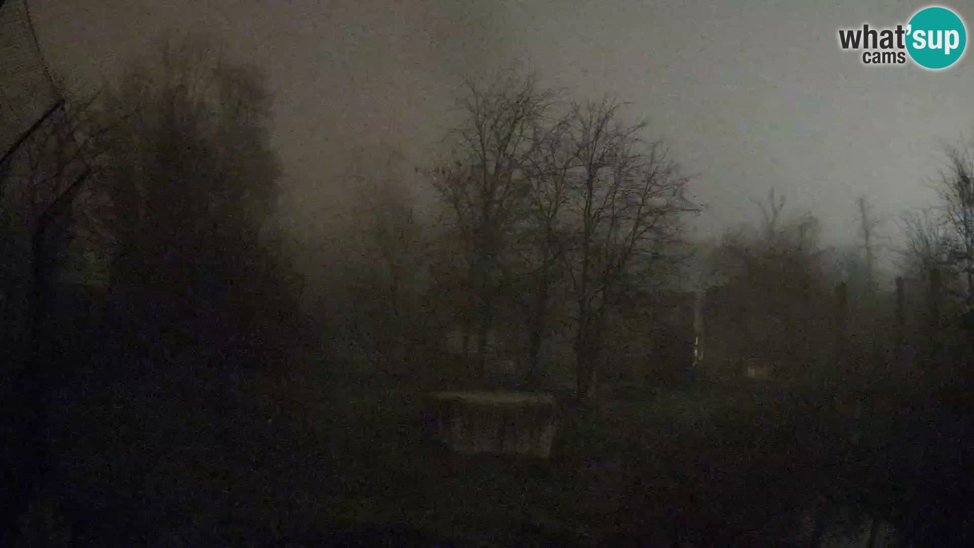 Spletna kamera Zoo Zagreb – Levi