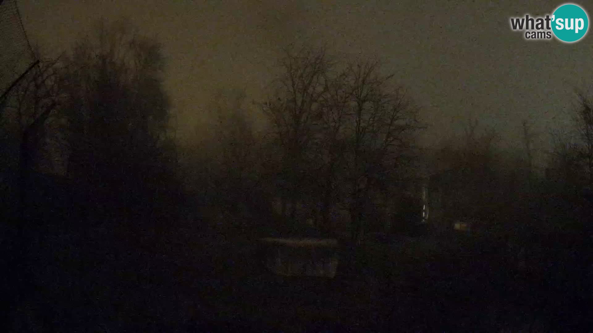 Zoo Zagreb – Leoni