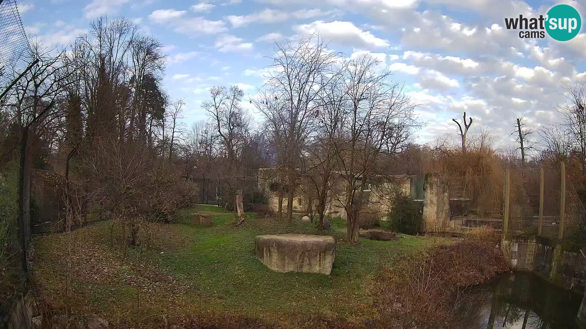 Spletna kamera Zoo Zagreb – Levi